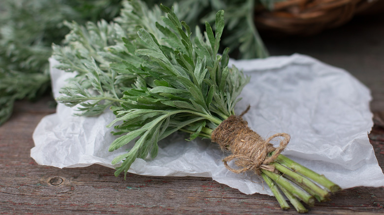 bunch of mugwort 