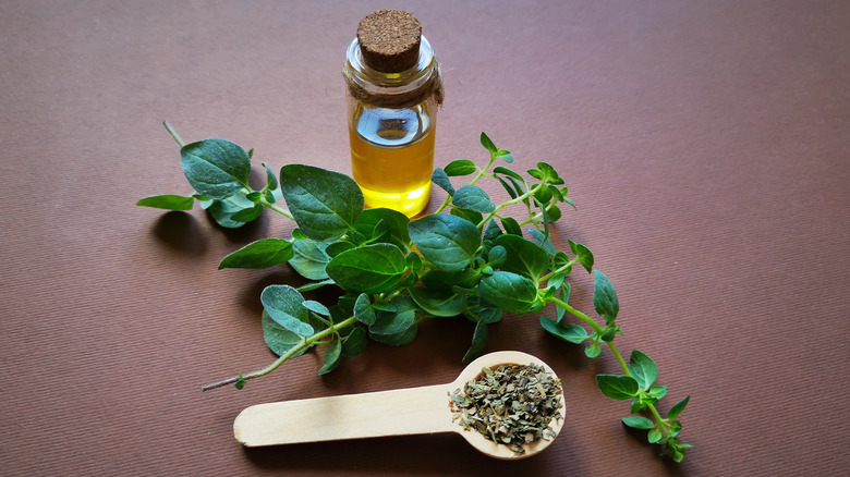 oregano and oregano essential oil