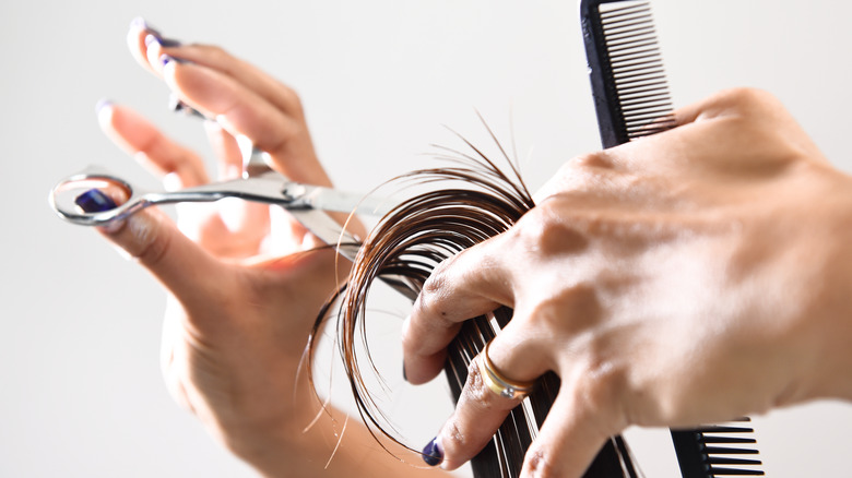 close up of stylist cutting ends