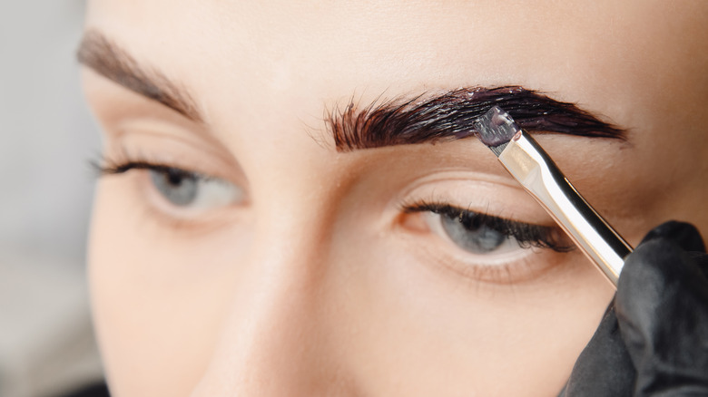 makeup brush used to tint eyebrows brown close-up
