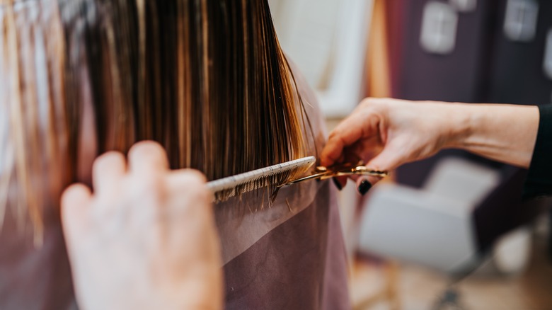 person getting a haircut