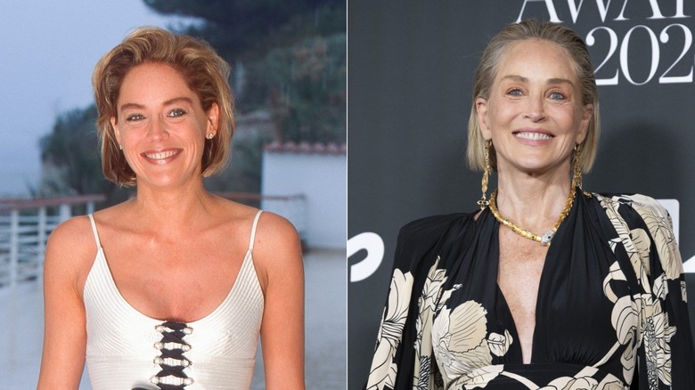 sharon stone 1995 cannes film festival & elle style awards 2026