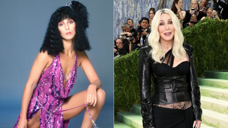 Side by side: Cher poses in 1978 and attend the Met Gala in 2026