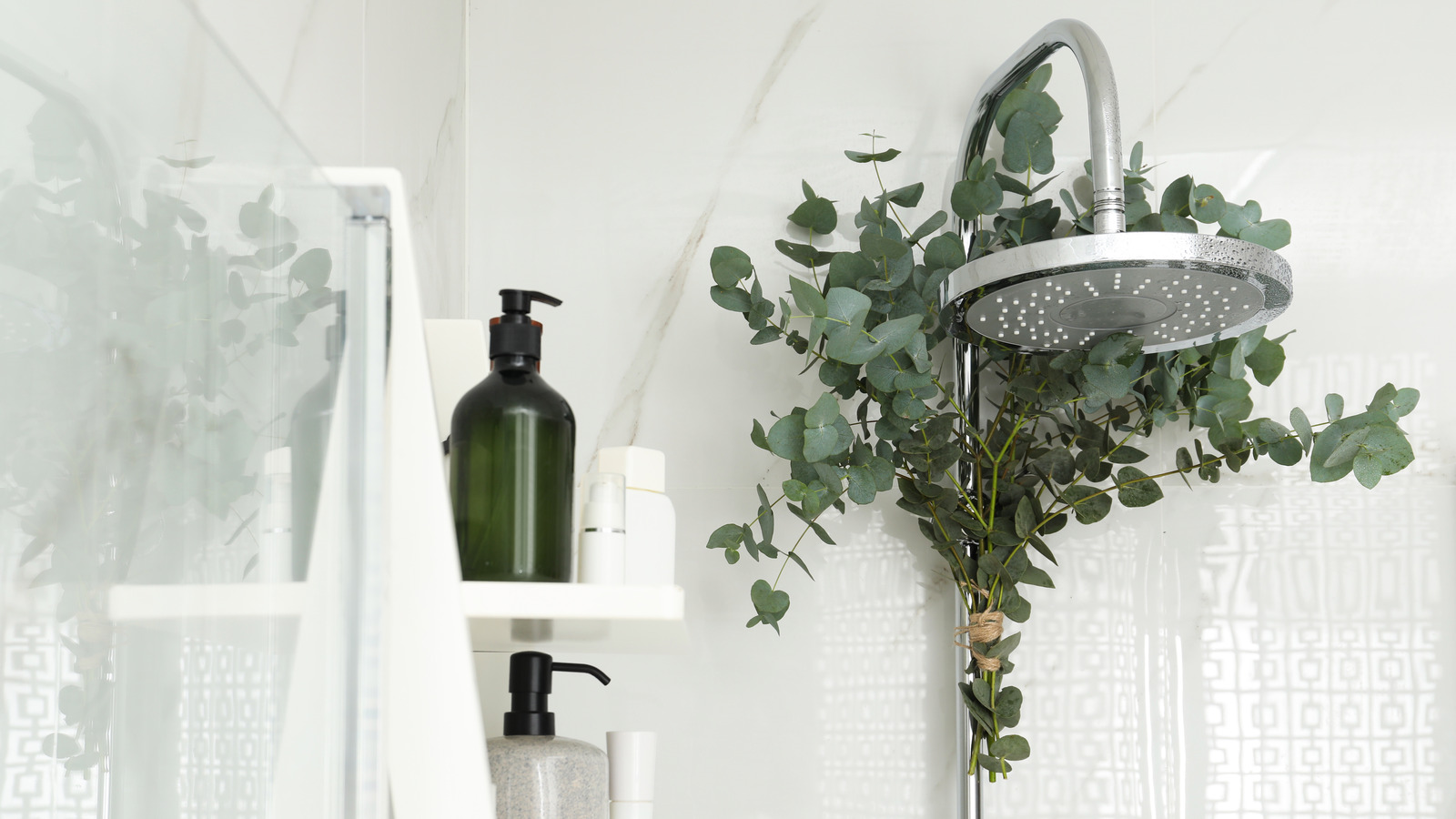 The best shower caddy for the eucalyptus shower trend