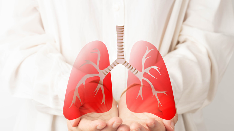 Someone holding lung photo