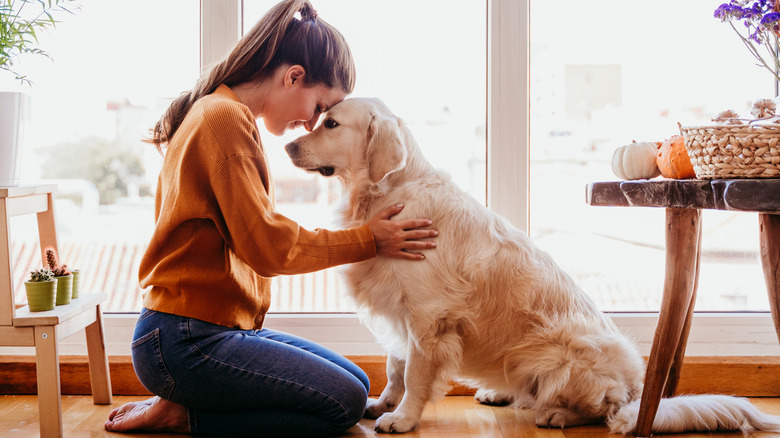 woman hugging golden retriever