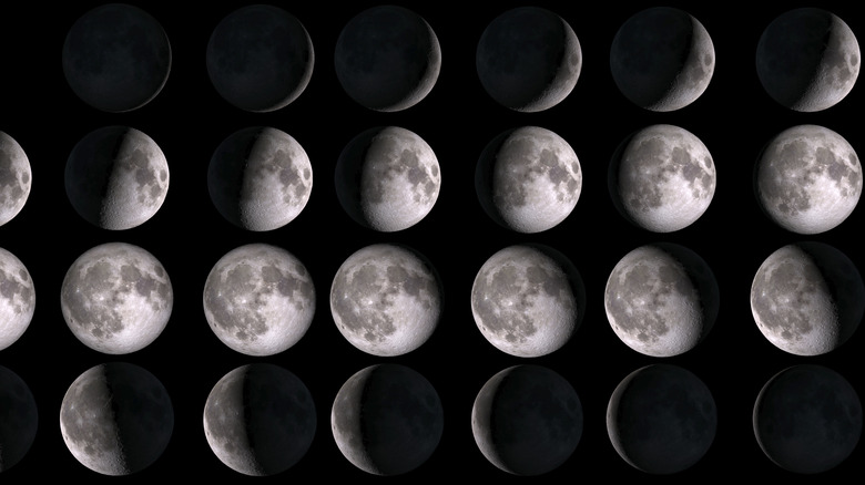 Phases of the moon