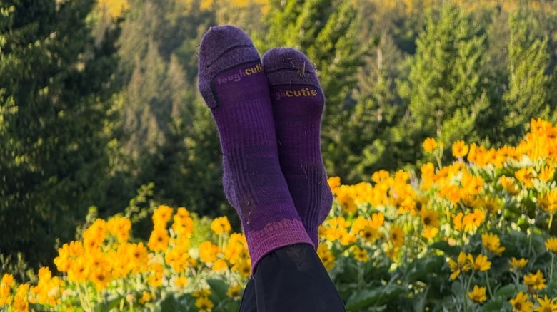 Brittany Coleman posed in her purple ToughCutie socks in a field of wildflowers on Washington's Dog Mountain during her "Socks and Summits" series of hikes in May 2025.