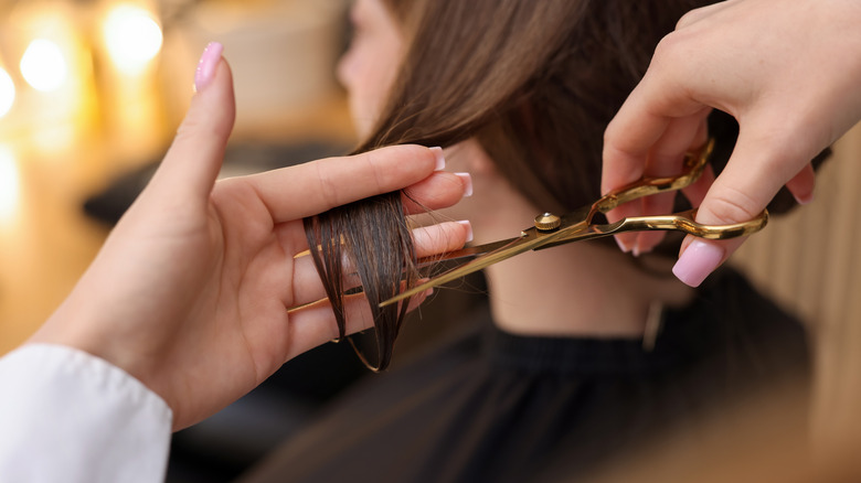 hairstylist cutting a woman's hair