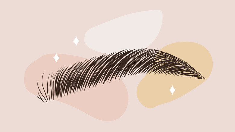 Illustration of eyebrow