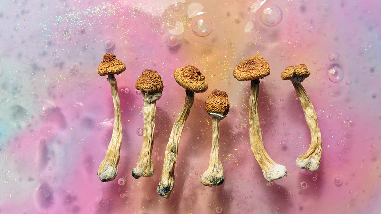 Mushrooms on dreamy background
