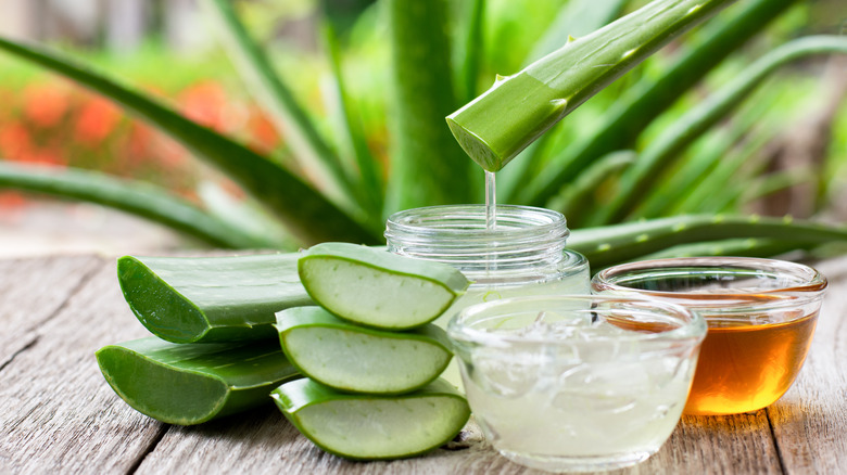 aloe vera plant juice in bowl and honey