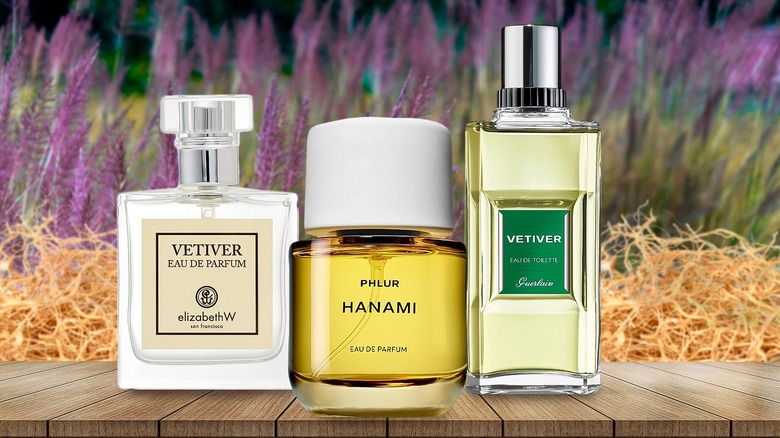 assortment of vetiver perfumes