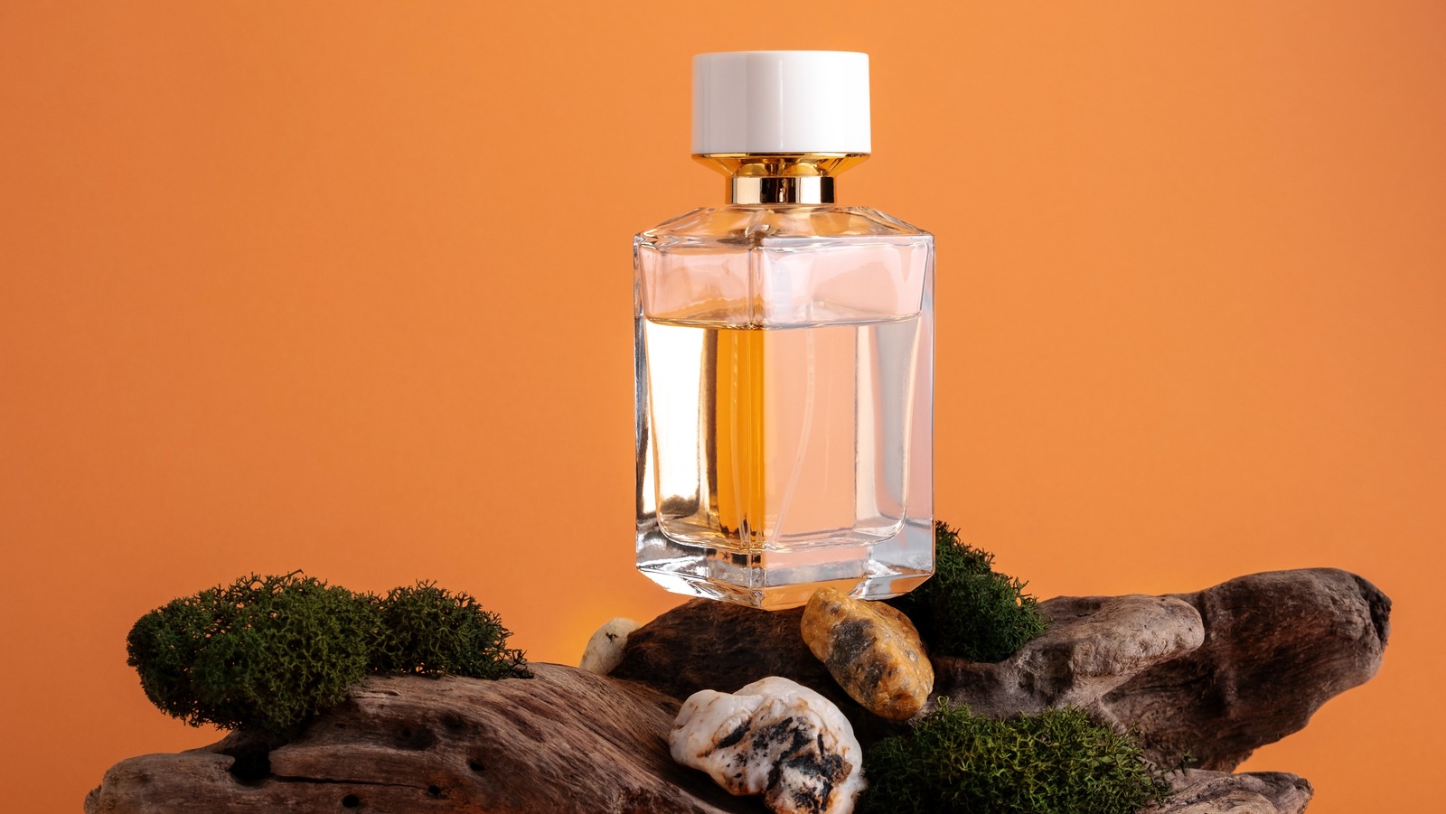 Perfume under 2025 $20