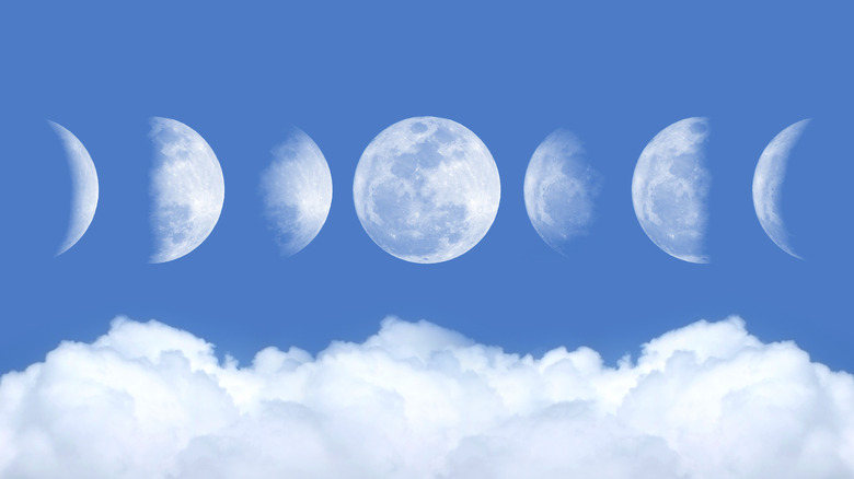 The moon's phases