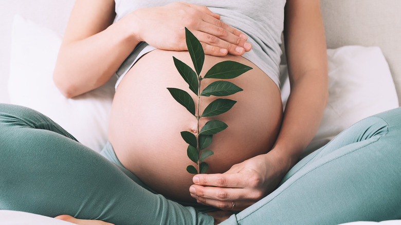 woman holds exposed pregnant belly