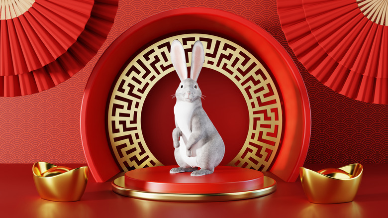 rabbit with red background