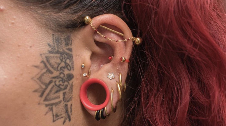 pierced anti tragus