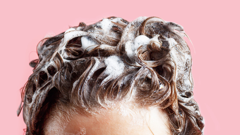 What To Look For When You're Picking A Shampoo For Oily Hair