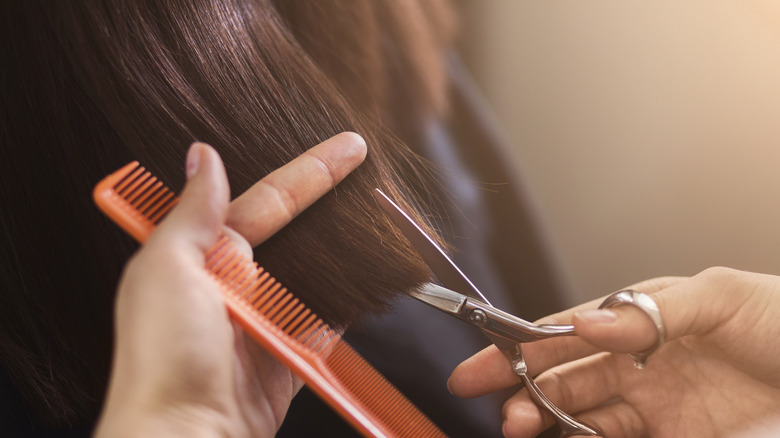 stylist cutting dry hair