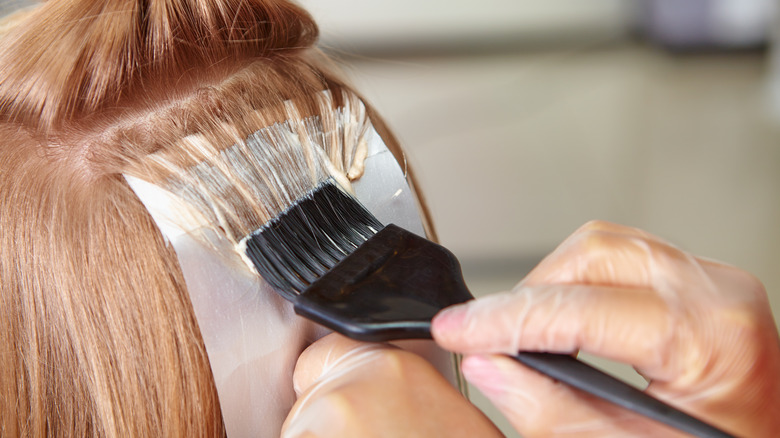 Hairstylist dyeing client's hair