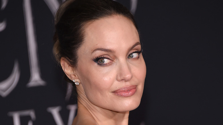 angelina jolie posing