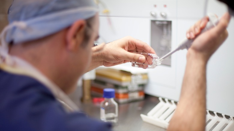 doctor freezing eggs