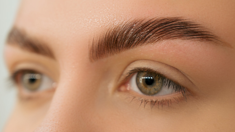 closeup of eyebrows