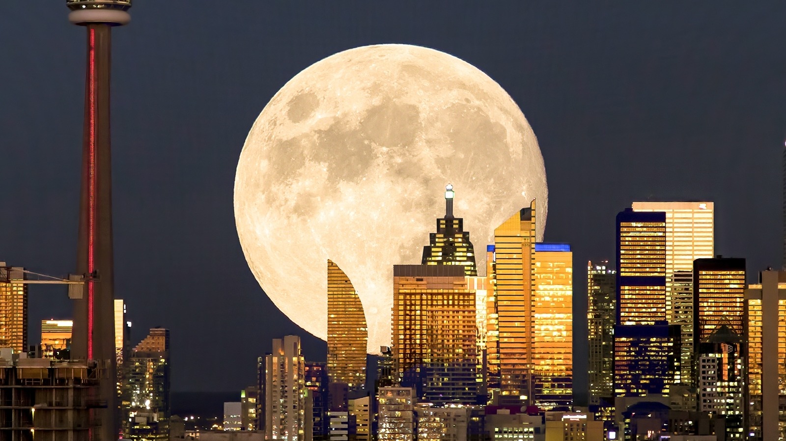 What Your Moon Sign's Zodiac Element Means For You