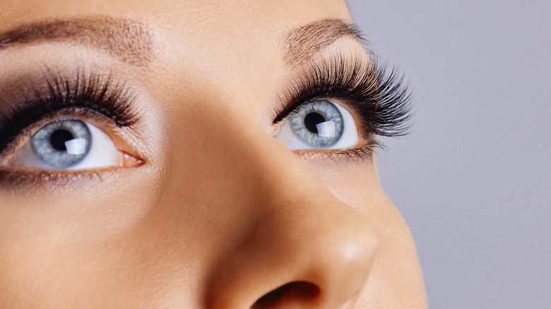 close up of woman's eyelashes