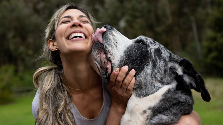 dog licking woman's face