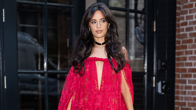 Camila Cabello heading to Taylor Swift and Travis Kelce's wedding in 2026