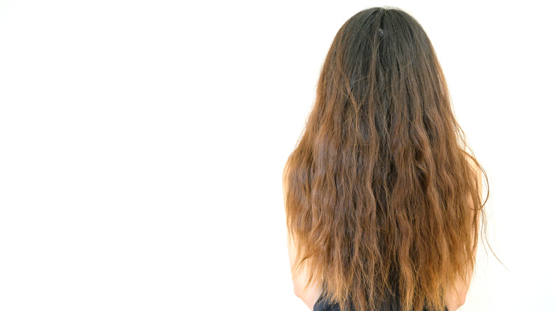 back of woman's damaged hair