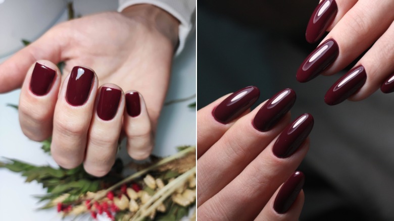 A Bordeaux manicure on short and long nails